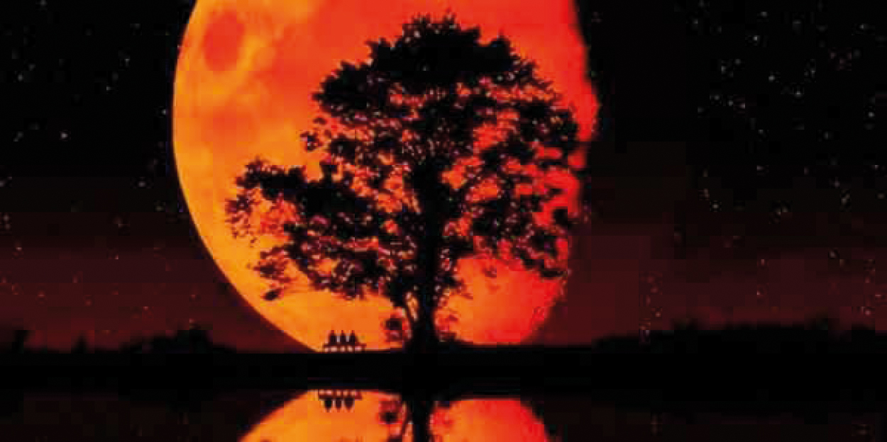 Blood moon. Photo credit: superstore.wnd.com
