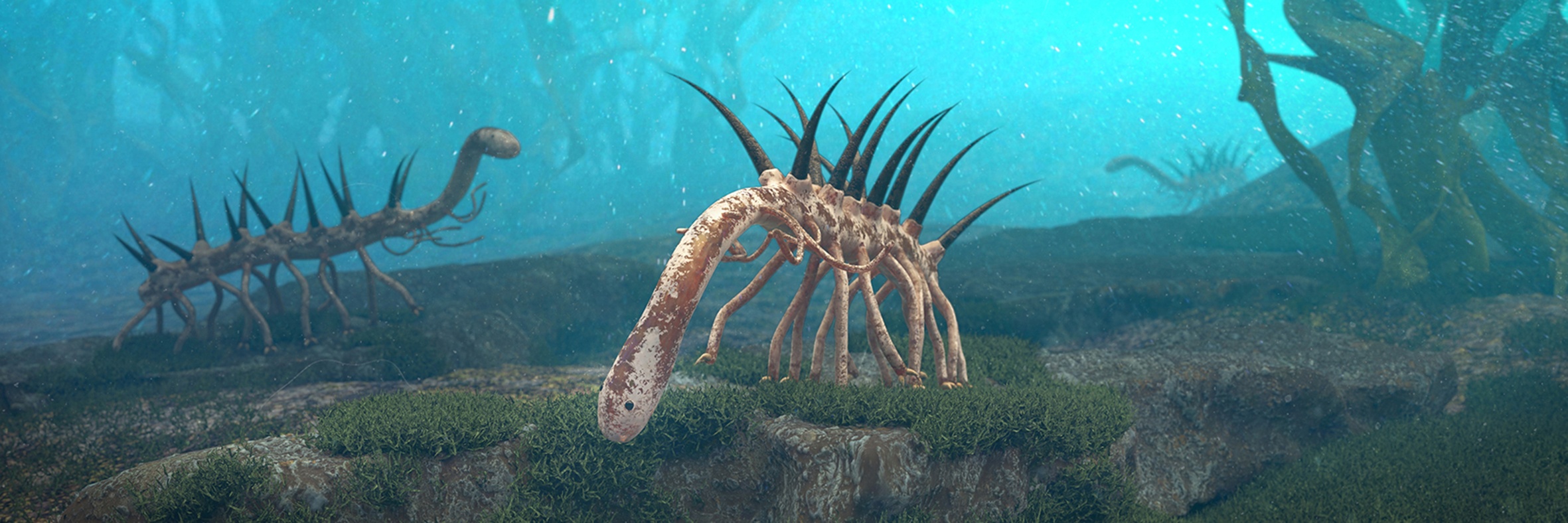 The spiky 14-legged Hallucigenia